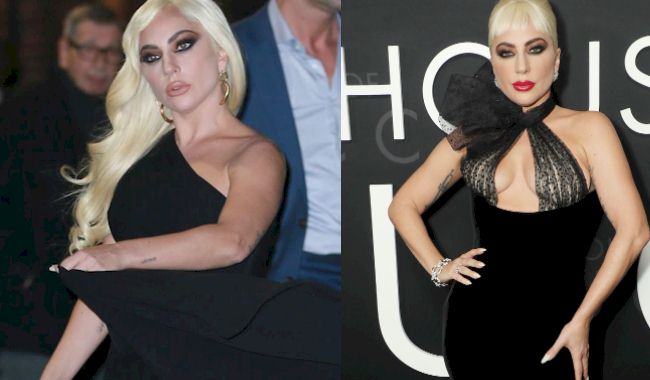 See Through Lady Gaga Pussy - Lady Gaga - The Nip Slip