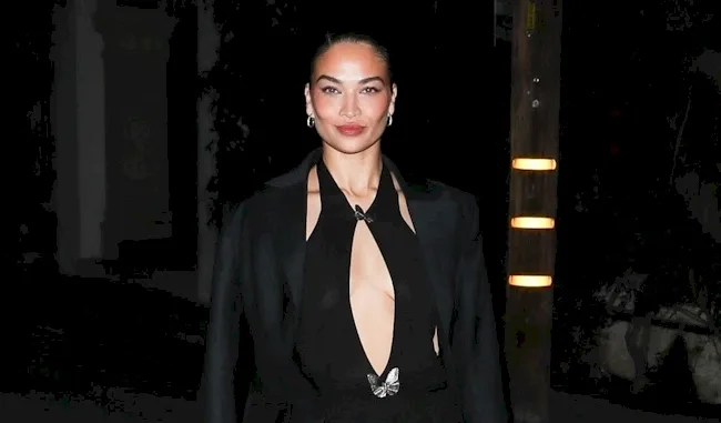 Shanina Shaik braless in a sheer dress