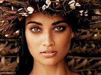Shanina Shaik