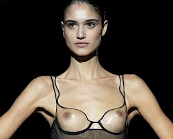 Fashion model Claudia Martin walked the runway topless and in sexy lingerie...
