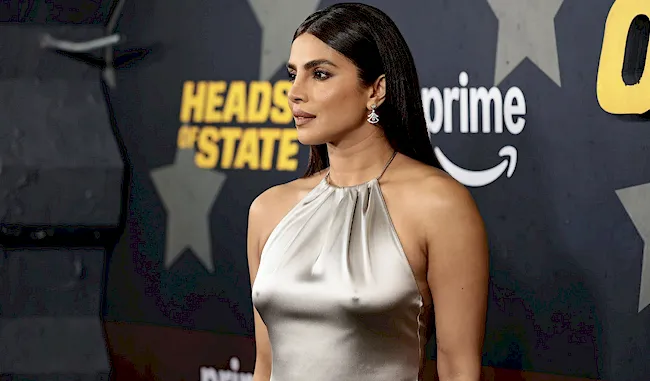 Indian actress braless in a silver dress on the red carpet