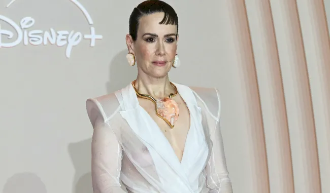 Close up of Sarah Paulson nip slip on the red carpet