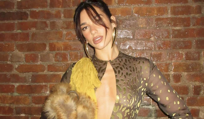 Close up of braless Dua Lipa in a see through top