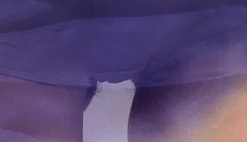 Close up of a woman's crotch in a sheer dress