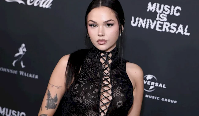 Close up of female popstar wearing a sexy sheer outfit at a red carpet event