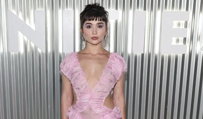 A girl with dark hair wearing a pink see through dress in front of silver sheet metal.