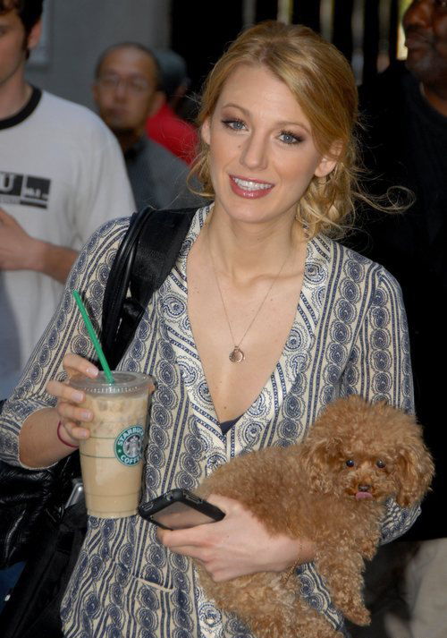 A woman with blonde hair holds an iced Starbucks drink, a phone, and a small brown curly-haired dog. She is wearing a patterned blouse and smiling while walking outdoors among a crowd.