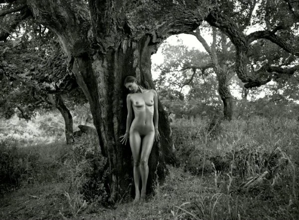 Far away view of a naked woman standing in front of a tree in a forest. The photo is black and white.