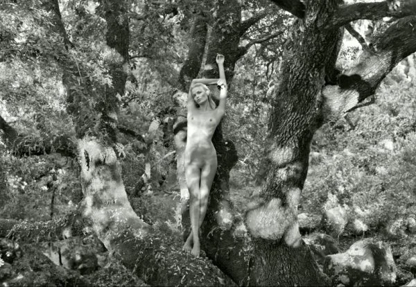 Far away view of a naked woman standing on the trunk of a big tree in a nature setting. The photo is black and white.