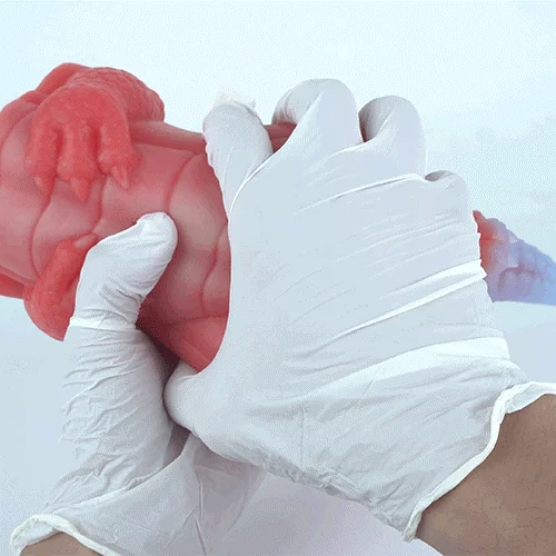 Close up of a pair of hands wearing white latex gloves holding a sex toy for men that is in the shape of a dragon against a white background.