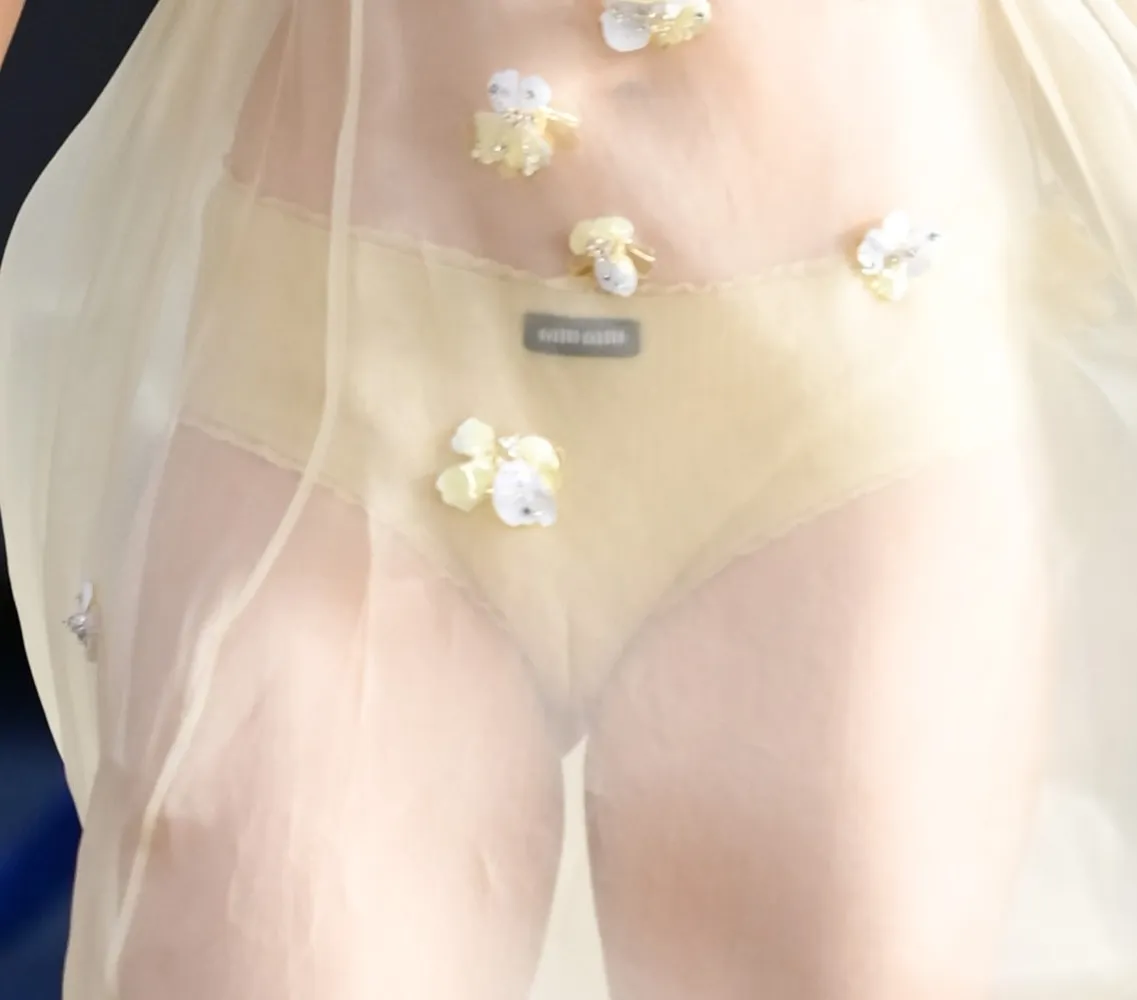 Joey-King-Practical-Magic-2-Camel-Toe2 A woman wearing sheer, light-colored fabric with delicate flower appliqués and visible beige underwear; the image is focused on her crotch.