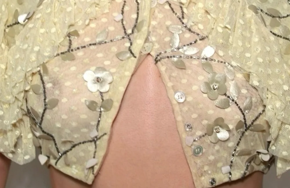 FlorencePughSheerEastOfEdenScreeningPic2 A close-up of a cream-colored, sheer polka-dot fabric decorated with embroidered flowers and leaves, showing a gap at the buttoned area in the center.