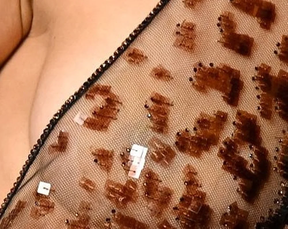 MonicaBarbaro6thAcademyMuseumGalaPic3 A close-up of a sheer, brown leopard-print garment with a beaded trim.